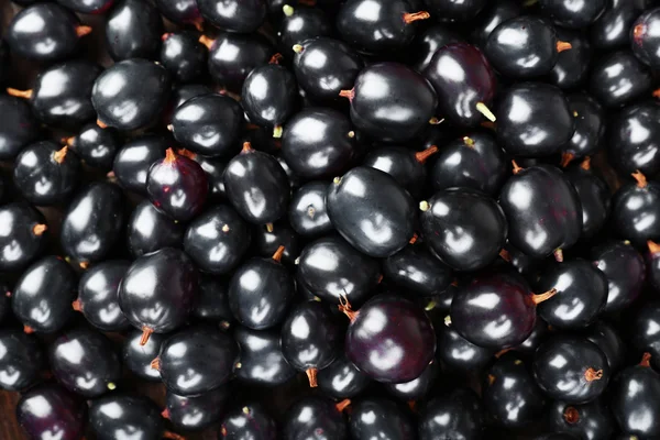 Heap of wild black currant close up — Stock Photo, Image