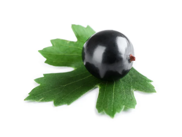 Куча дикой черной смородины с зеленым листом, изолированным на белом — стоковое фото