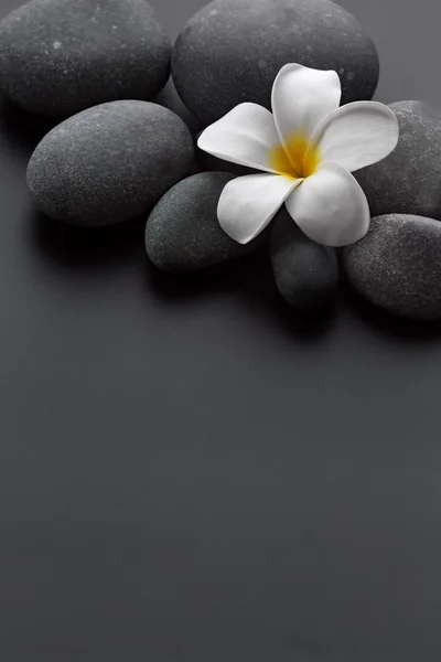 Piedras de spa con flor sobre fondo gris — Foto de Stock