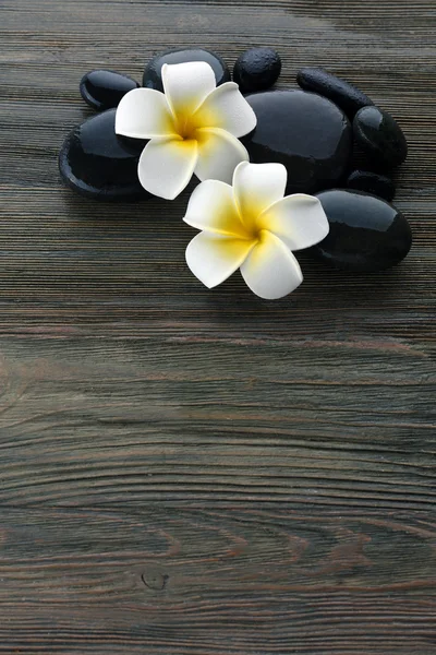 Nasse Wellness-Steine mit Blumen — Stockfoto