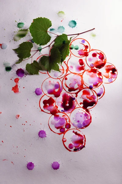 Branch of grapes painted — Stock Photo, Image