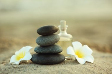 Kumlu sahilde rahatlatıcı kümesinin oluşumunu