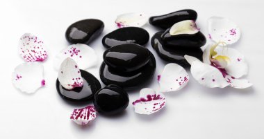 Orkide ve zen taşlar