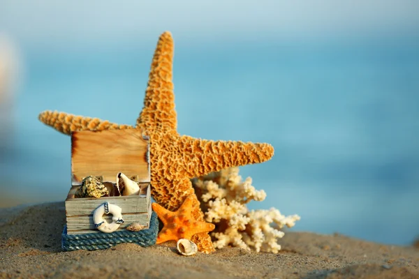 Schöne Seesterne am Sandstrand — Stockfoto