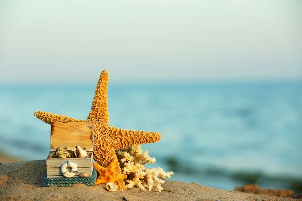 Schöne Seesterne am Sandstrand — Stockfoto