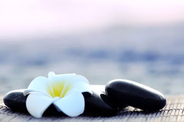 Spa stones with flower outdoors — Stock Photo, Image