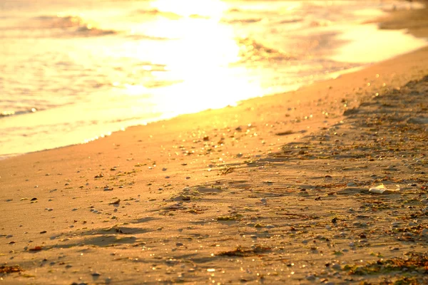 Захід сонця на березі моря — стокове фото
