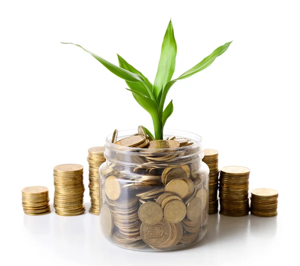 Plant growing in coins — Stock Photo, Image