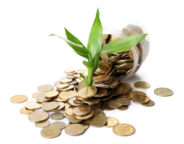 Plant growing in coins — Stock Photo, Image