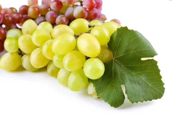 Red of white grapes — Stock Photo, Image
