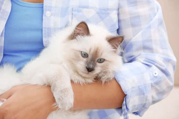 Junge Frau hält Katze — Stockfoto