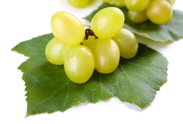Сочный виноград с листьями — стоковое фото