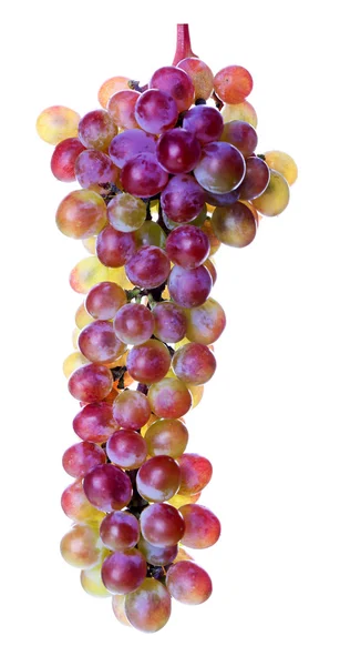 Bunch of sweet red grape — Stock Photo, Image