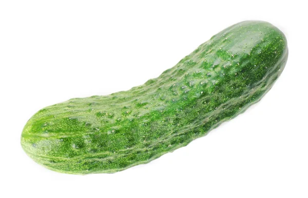 Ripe fresh cucumber — Stock Photo, Image