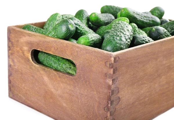 Pepinos en caja de madera — Foto de Stock