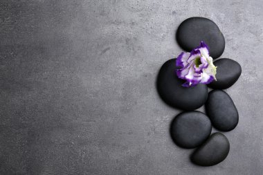 Güzel çiçek ile çakıl