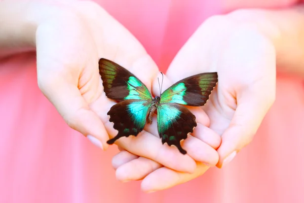 Mariposa colorida en manos femeninas — Foto de Stock