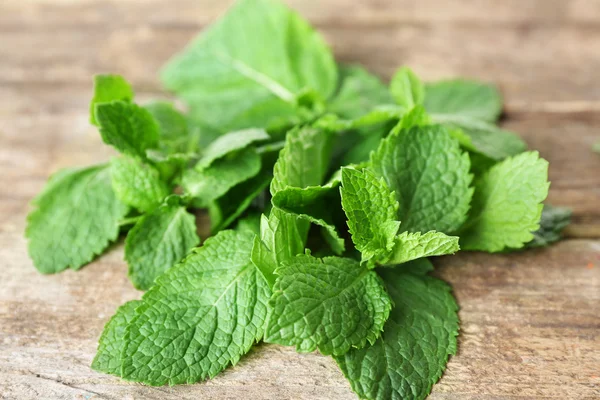 Bunch of natural mint — Stock Photo, Image