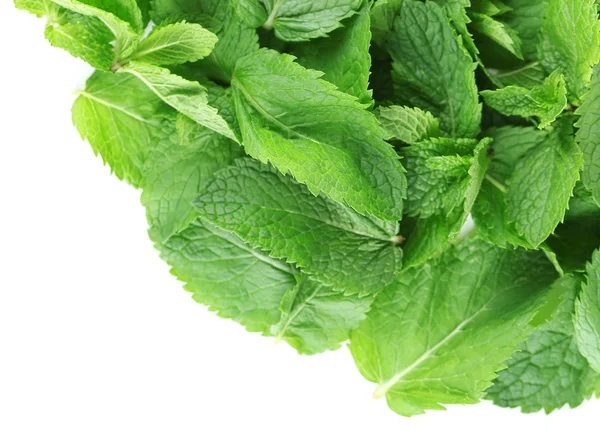 Pile of fresh mint — Stock Photo, Image