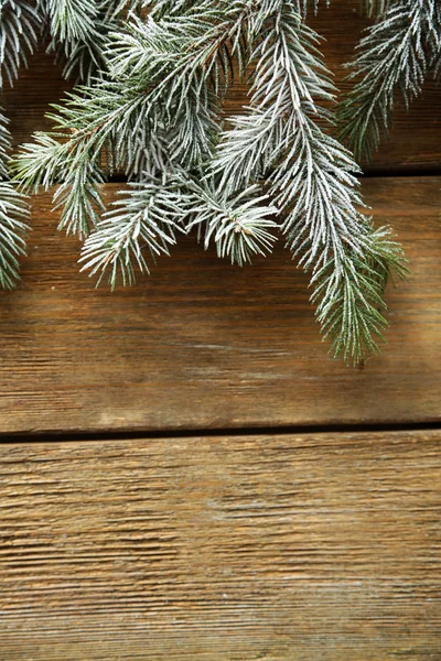 Weihnachtsbaum mit Frost — Stockfoto