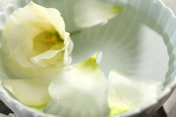 Pétalos de flores en tazón con agua —  Fotos de Stock