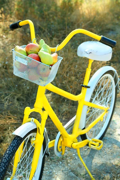 Korb mit saftigen Früchten auf dem Fahrrad — Stockfoto