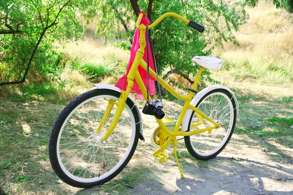 Old bicycle with camera — Stock Photo, Image