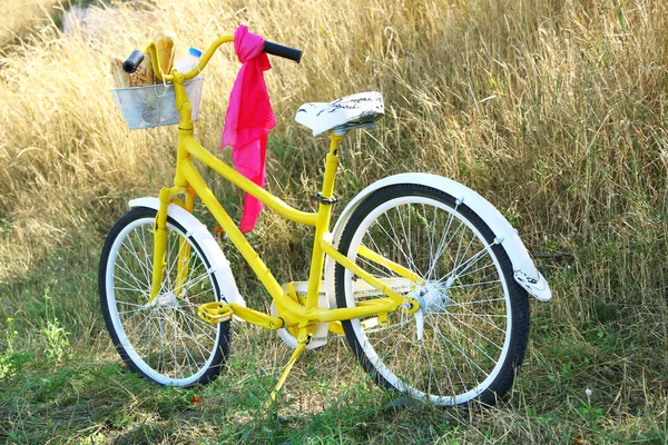 Cesto di alimenti freschi in bicicletta — Foto Stock