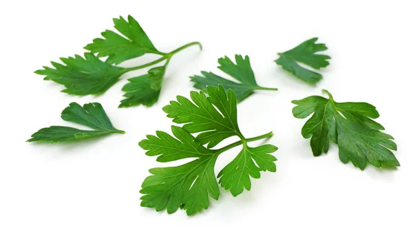 Fresh parsley isolated on white — Stock Photo, Image