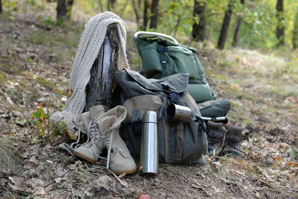 Turistické vybavení v lese — Stock fotografie