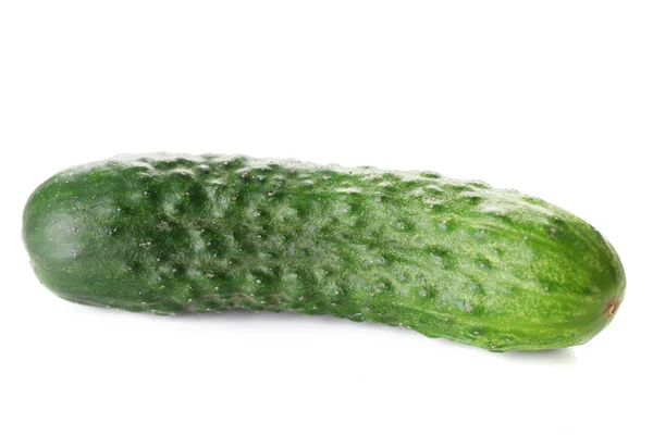 Ripe fresh cucumber Royalty Free Stock Photos