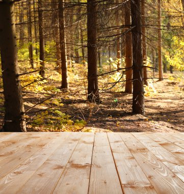 Güzel sonbahar ormanı. doğa arkaplanı