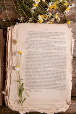 Kuru çiçekler ile eski kitap