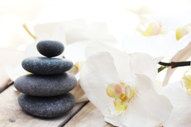 Taş ve ahşap arka plan üzerinde orkide