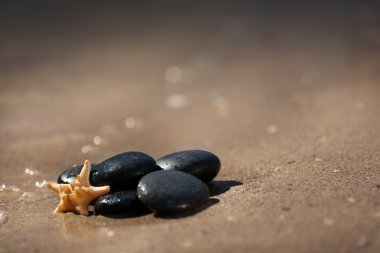 Çakıl taşları ile denizyıldızı deniz kıyısı üzerinde