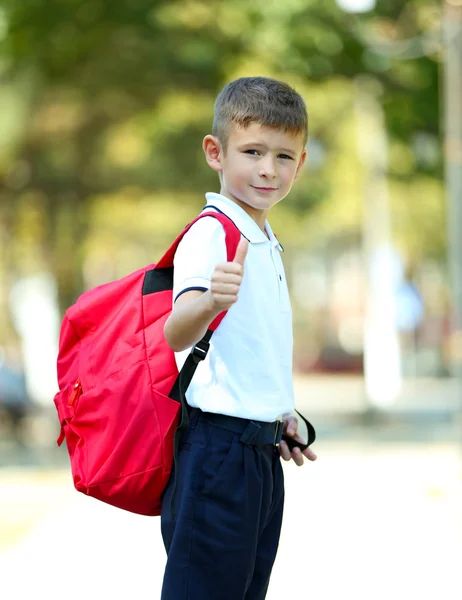 Ragazzino con borsa grande scuola, all'aperto — Foto Stock