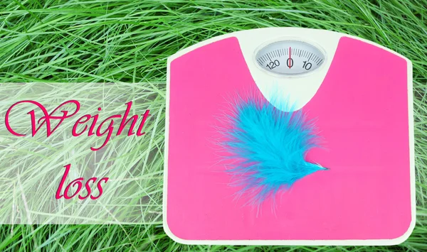 Feather on scales on green grass.  Losing weight for the summer — Stock Photo, Image