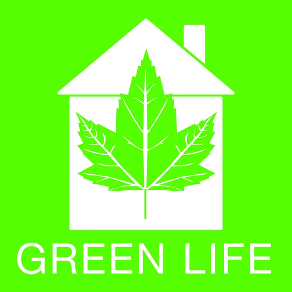 Eco house icon — Stock Photo, Image