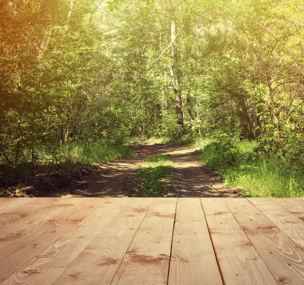 Solljus i skogen bakgrund — Stockfoto