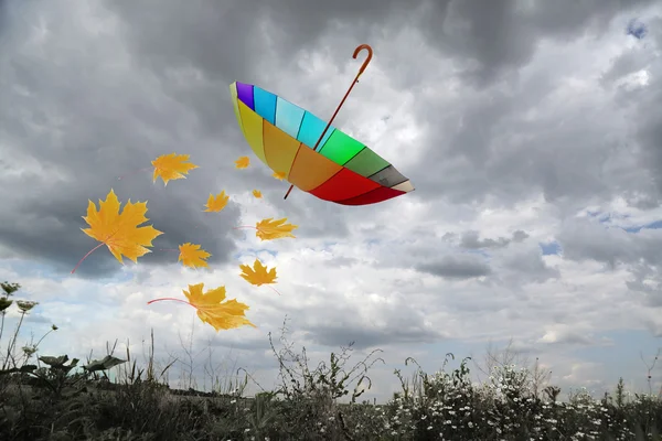 Umbrella and autumn leaves flying — Stock Photo, Image