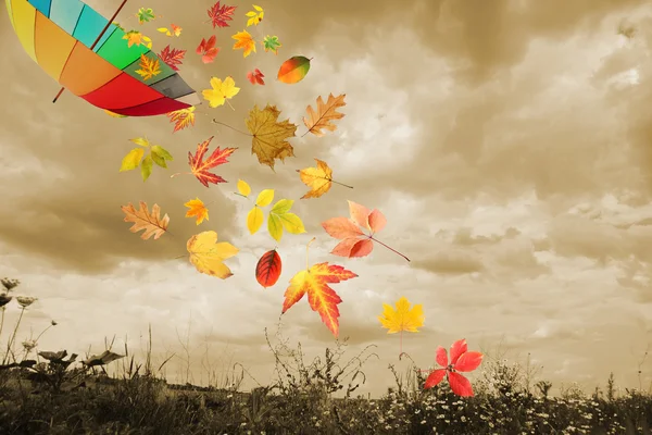 Umbrella and autumn leaves flying — Stock Photo, Image