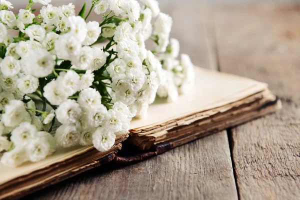 Oud boek met mooie bloemen — Stockfoto