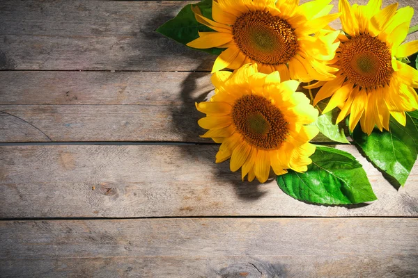 Schöne helle Sonnenblumen auf Holztisch aus nächster Nähe — Stockfoto