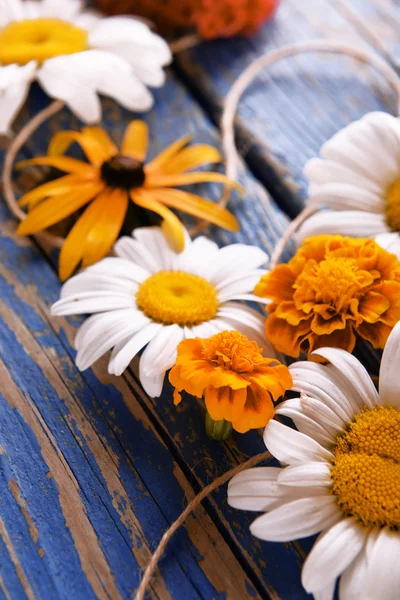 Verse kleurrijke bloemen — Stockfoto