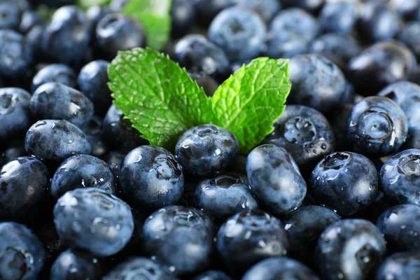 Leckere reife Blaubeeren mit grünen Blättern aus nächster Nähe — Stockfoto