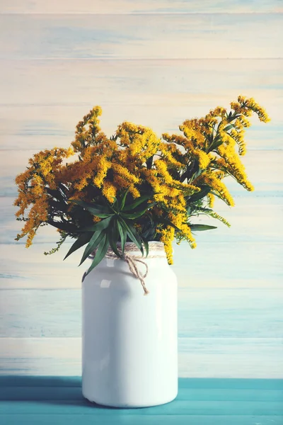 Schöne Mimosen-Blüten — Stockfoto