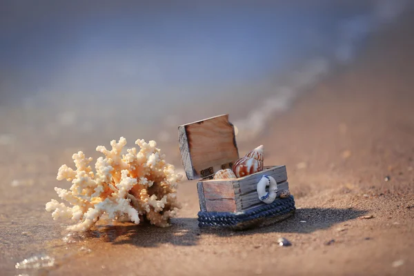 Concept of coral and chest with shells on the seashore — Stock Photo, Image