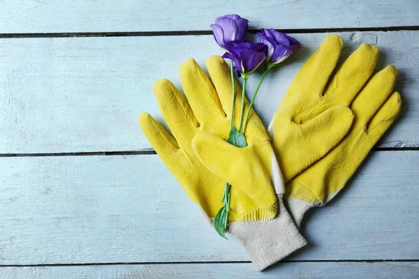 かなり組成の花と水色の木製の背景に庭師の手袋 — ストック写真