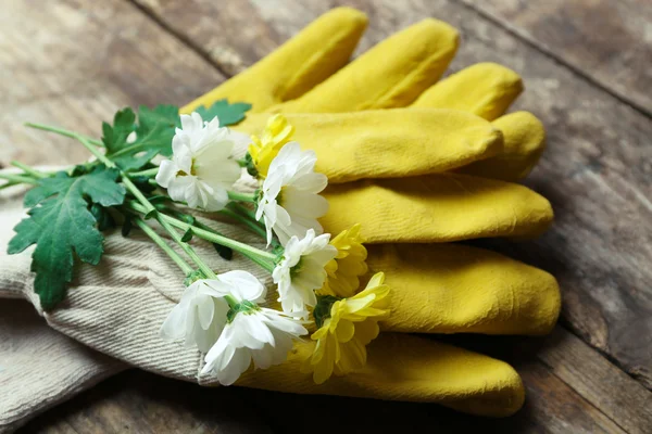 Složení citlivých květy a žluté rukavice zahradníka na dřevěné pozadí — Stock fotografie