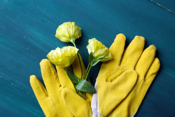 Blüte und Handschuhe auf bemaltem Holzgrund — Stockfoto